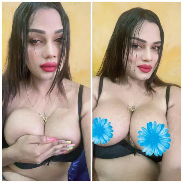 Verified Shemale Cam Show Beautiful Shemale Genuine Live Cam Show Available ❤️😇