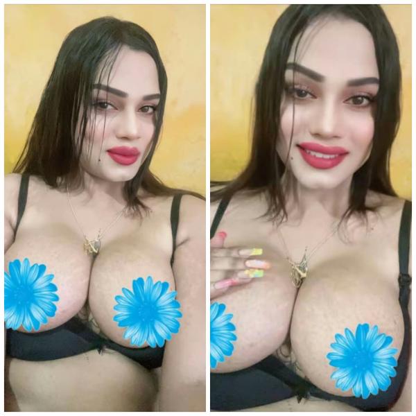 Verified Shemale Cam Show Beautiful Shemale Genuine Live Cam Show Available ❤️😇